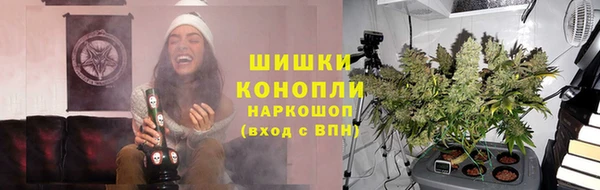 гидропоника Алзамай
