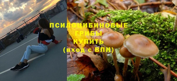 гидропоника Алзамай
