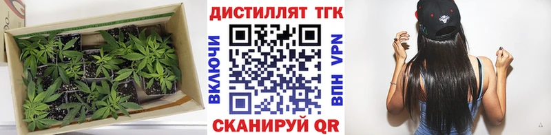 Дистиллят ТГК вейп Грязи