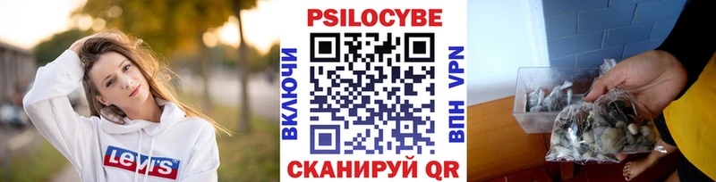 купить наркотики сайты  Грязи  Псилоцибиновые грибы GOLDEN TEACHER 